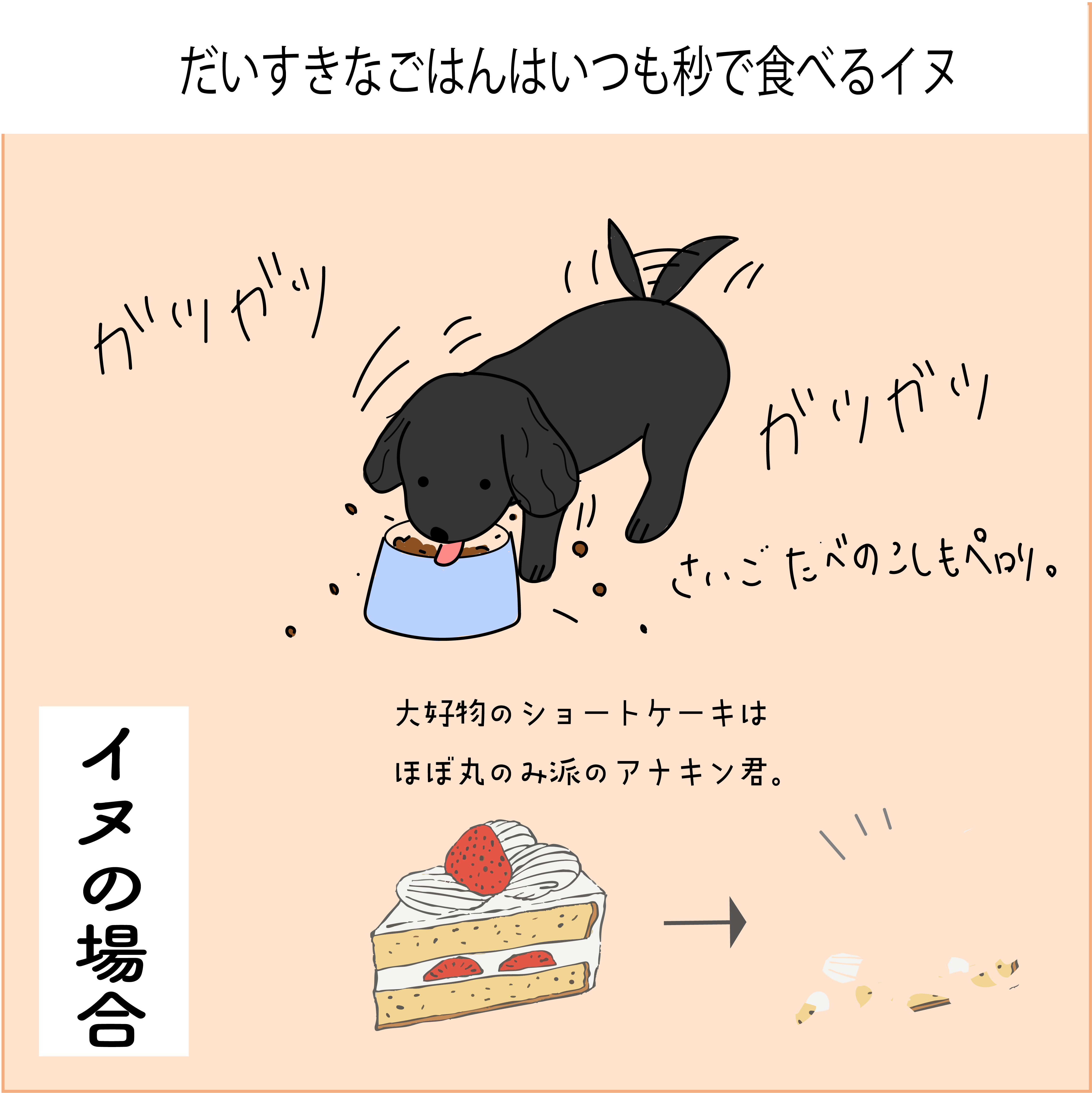 早食いする犬アナキン